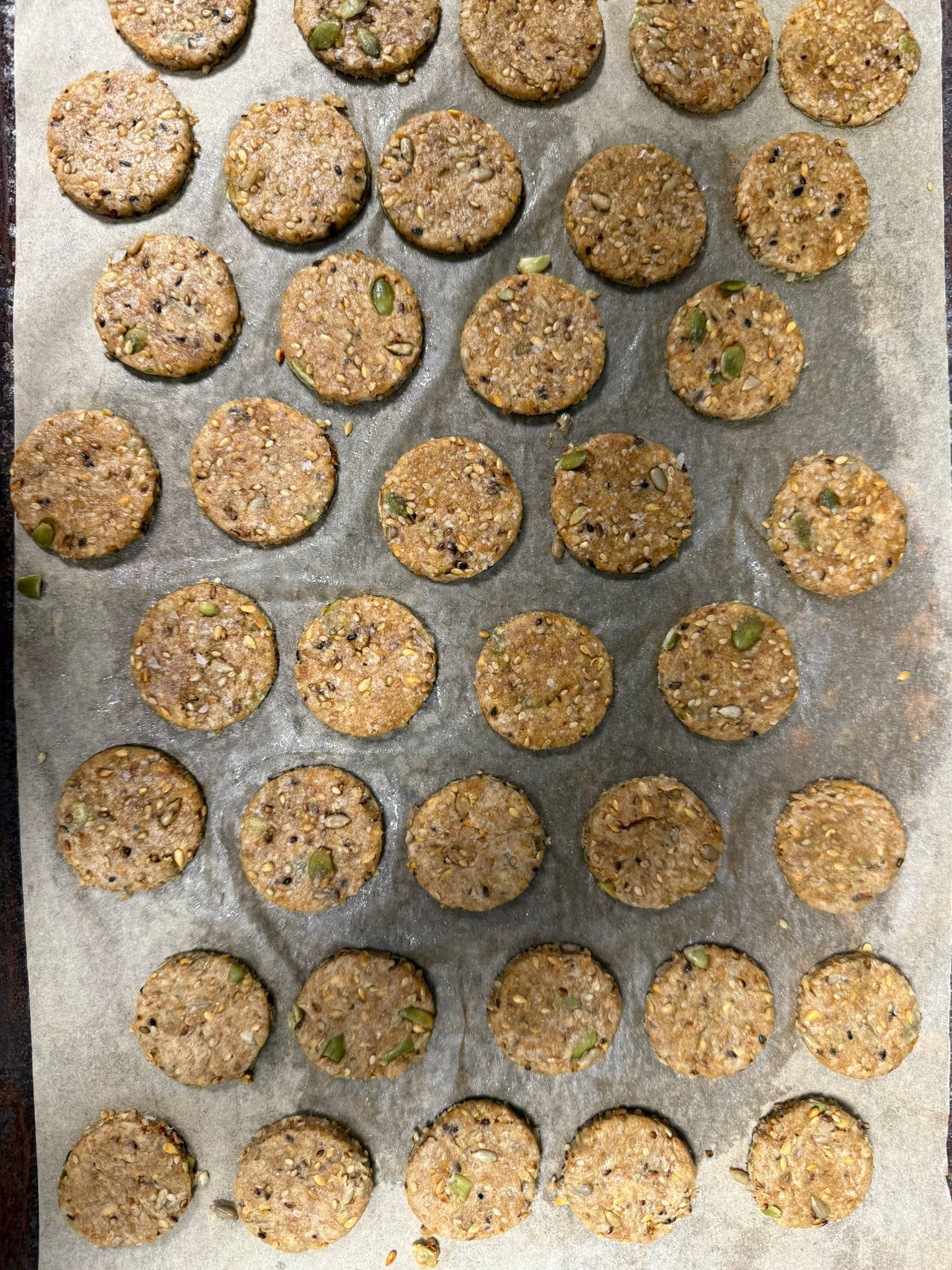 Emmerwheat and seeds crackers - Switch To Whole Grains